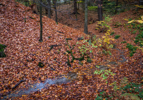 Cesta vody a Park nad rybníkem