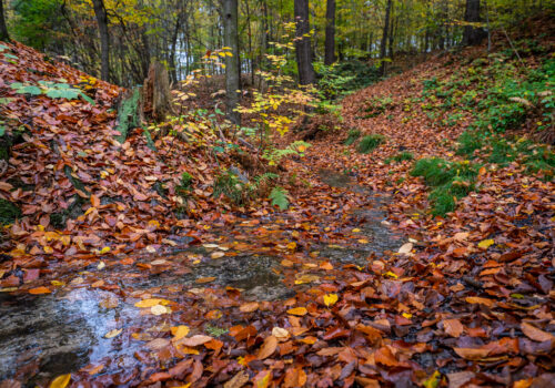 Cesta vody a Park nad rybníkem