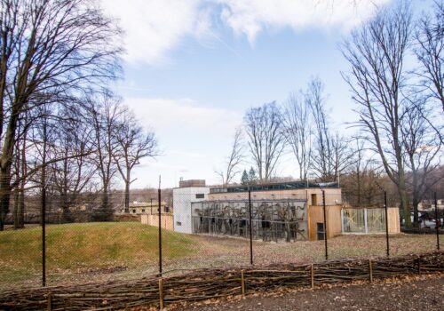 Pavilon makaků lvích před dokončením